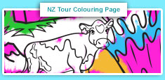 NZ Tour Colouring Page