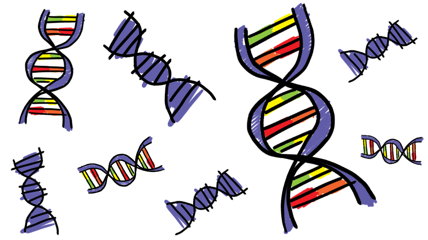 Sciencethumb 03 Genes