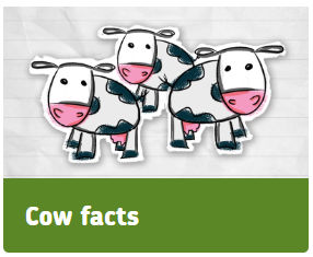 Cow Facts Complete Tile