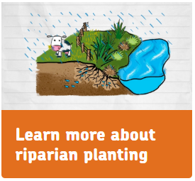 Riparian Planting Promo