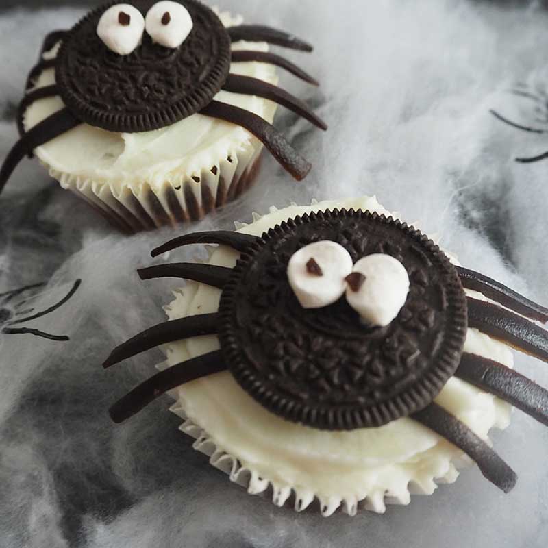 Spider Cupcakes SQ
