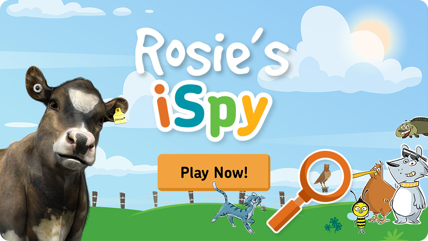 20783 DNZ Rosies Ispy Play 880X495
