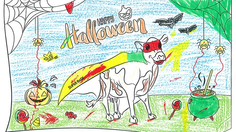 Halloween Rowan Maungakaramea Primary School