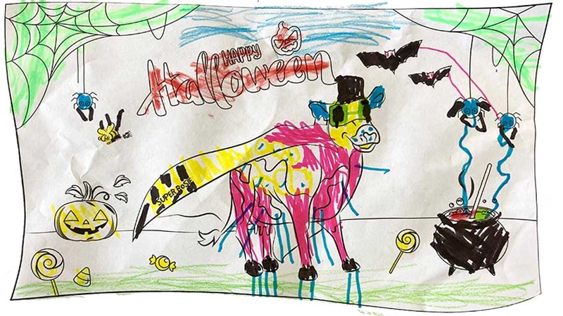Halloween Alexander Maungakaramea Primary School