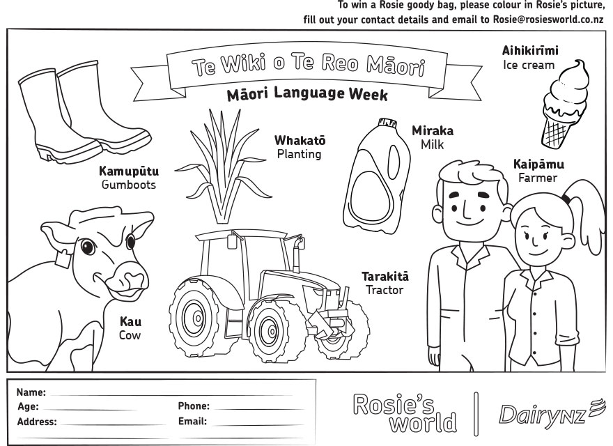 Maori Language Week Colouring Template Image 880X640